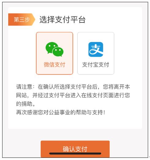 圖4 在線捐款第三步支付平臺